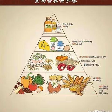 华北理工大学附属医院孕妈妈课堂—糖尿病孕妈的营养厨房