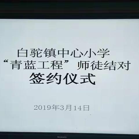 白驼镇中心小学“青蓝工程”师徒结对签约仪式