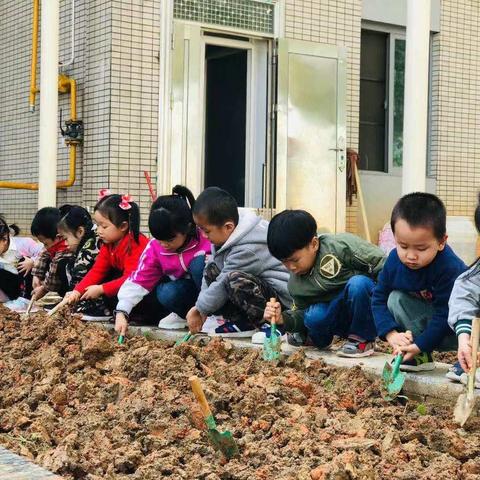 2019牛津班的小朋友在幼儿园的第一个植树节