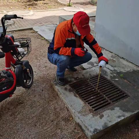 开展蚊蝇消杀工作  改善夏日人居环境