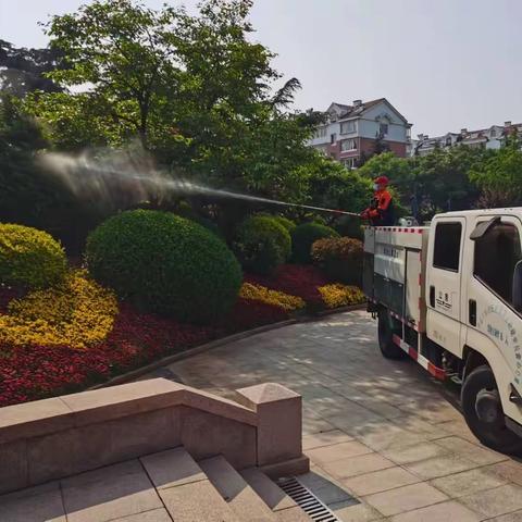 蚊蝇消杀 我们在行动