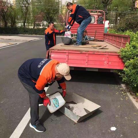 灭鼠毒饵站搭建持续进行中