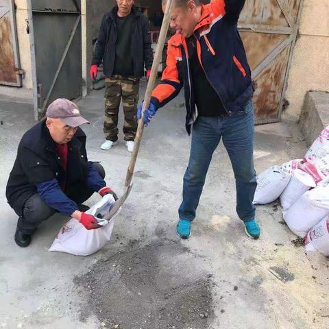 春季灭鼠 保障健康