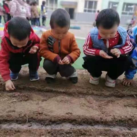 春天来了，这群幼儿园孩子种起了植物