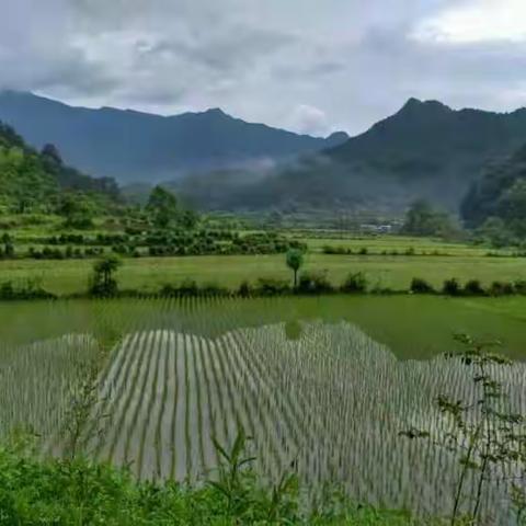 未来贵在乡下，今天就实现乡居梦想（2017）