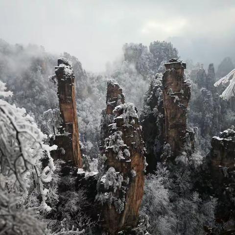 25号后，张家界是这样的，准备好来赏雪吧！