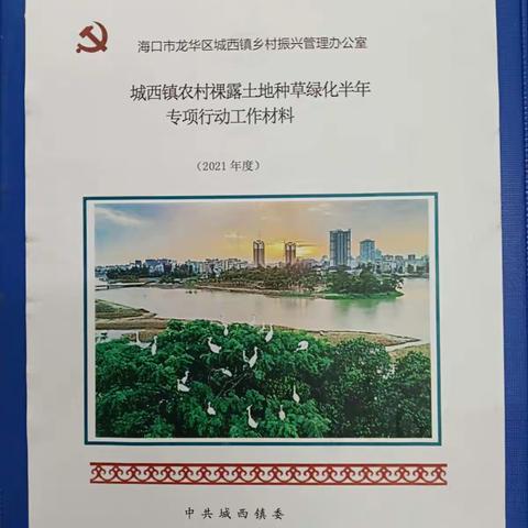 城西镇迎接市、区乡村振兴局农村裸露土地种草绿化半年专项行动考核