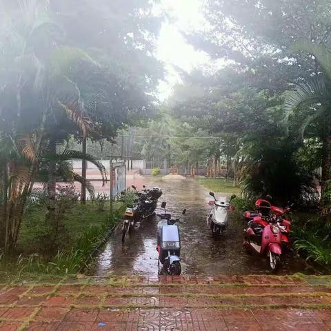 风雨无阻，砥砺前行，共同抗击台风“圆规”～致敬最可爱的人