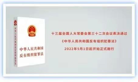 大地保险新余中支开展《反有组织犯罪法》宣传活动