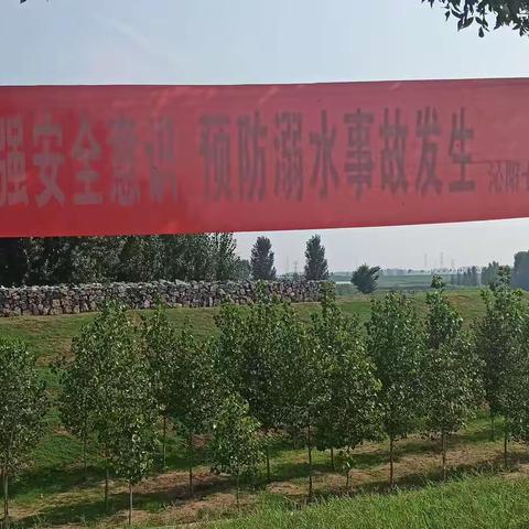 暑假工作不停歇 创建美丽安全校园-沁阳七中暑期工作剪影