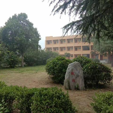 全员参与，洁净校园——沁阳市第七中学做好开学卫生准备工作