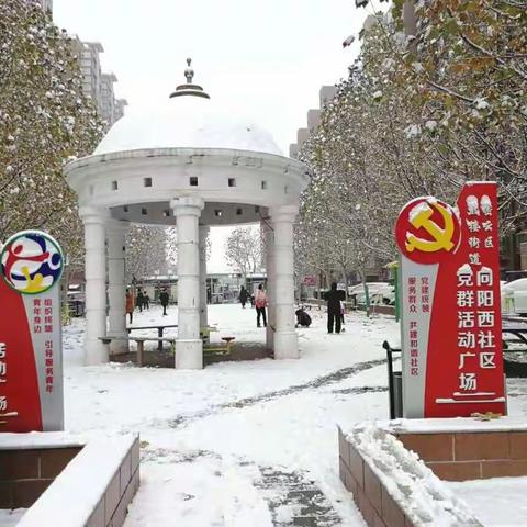 云馨物业扫雪铲冰忙