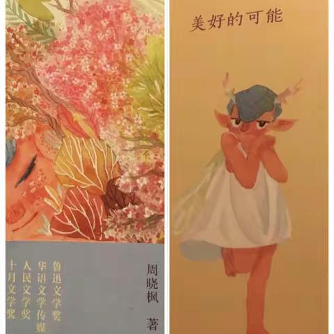 班级共读小翅膀之第六章《美好的可能》