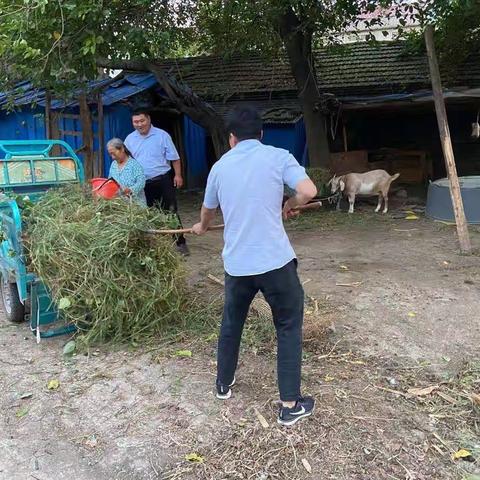聚青春之力 助脱贫攻坚