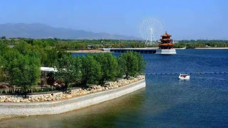 泰山一亩松