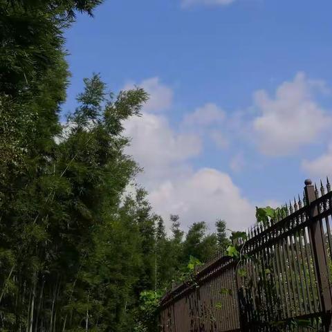 🌟🌟从一起走过的日子到说不出再见——增城从化小组点滴记录🌟🌟