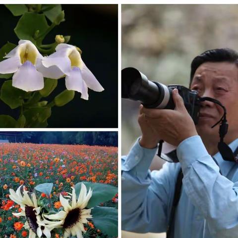 鲜花伴你迎新春！