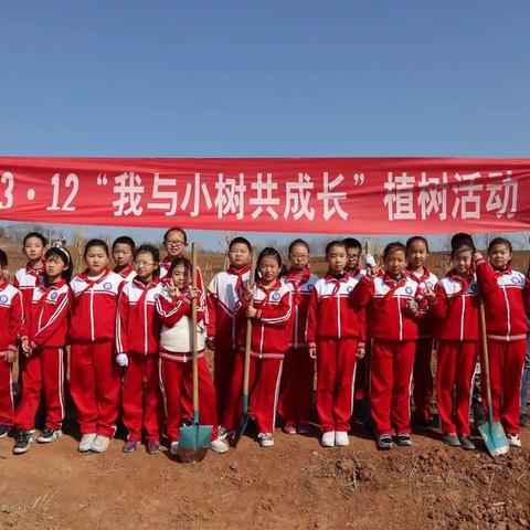 我与小树共成长