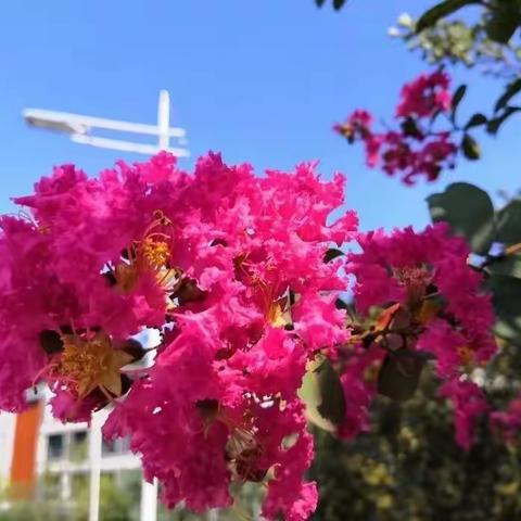 春暖花开，静待开学