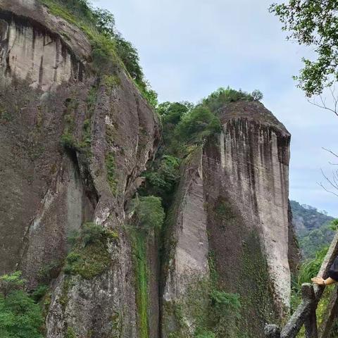 奇美武夷行