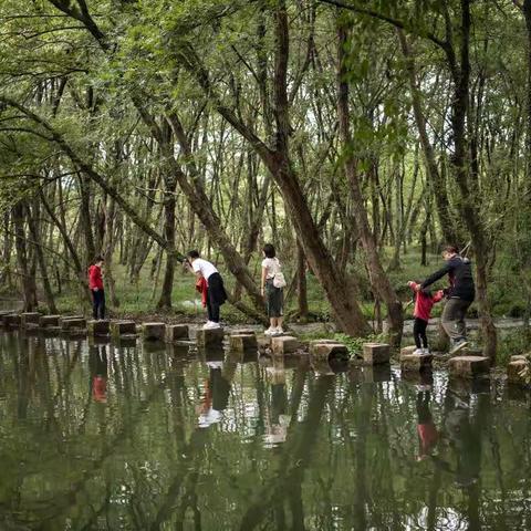 绍信的美篇