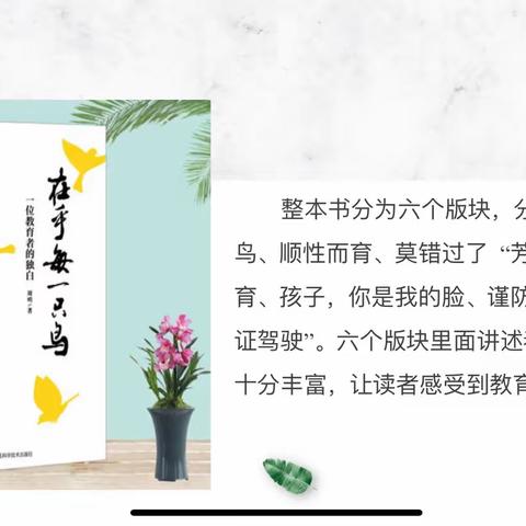 【读书分享】保持初心，顺性而育——《在乎每一只鸟》读后感