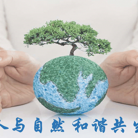 德育组战疫讲堂（一）：人与自然和谐共生