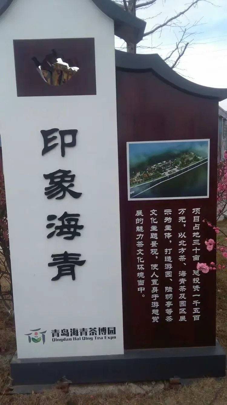 青岛西海岸海青茶博园一日游