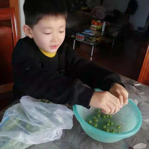 我劳动我快乐-记石阳小学一部一年级2班晨曦中队