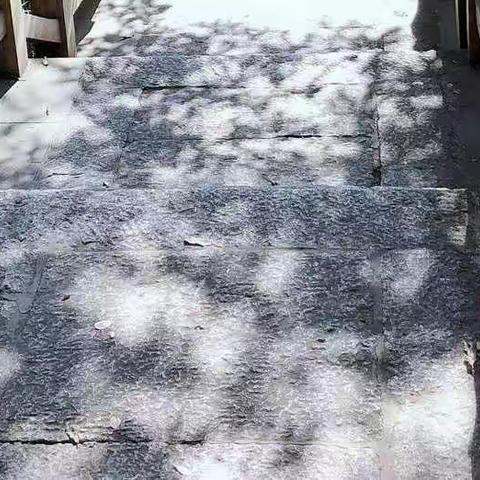 【海·雅朱小一（2）班】《不输在家庭教育》之“放手与引导尺度”