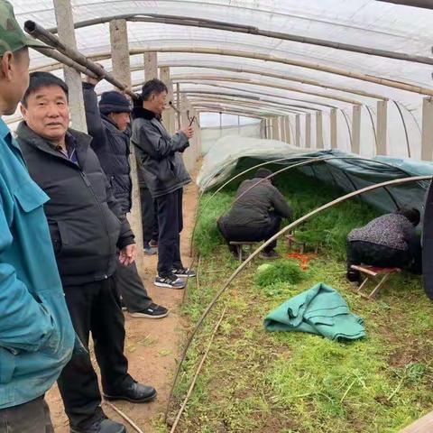 绣惠街道北关村前往济南茴香种植基地康陈村学习