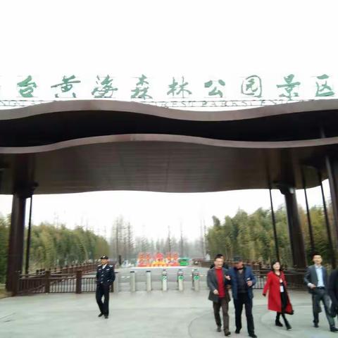 东台黄海森林公园掠影