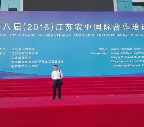 回顾2016精彩纷呈跨入2017更加信心满怀，一起加油干!