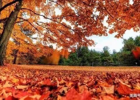 秋天的“童”画