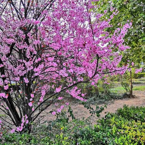 放飞自我，实现梦想——启航