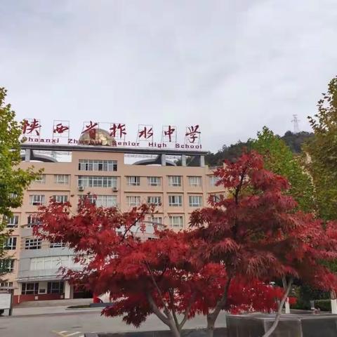 防灾减灾人人参与，平安校园人人有责，——陕西省柞水中学开展防灾减灾系列宣传教育活动