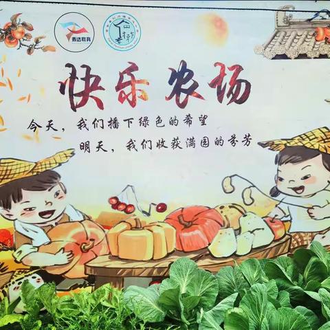丰收的喜悦，动手的快乐——记仁川小学六2班快乐农场综合实践活动