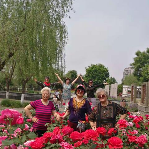 夕阳无限好，快乐又开心！