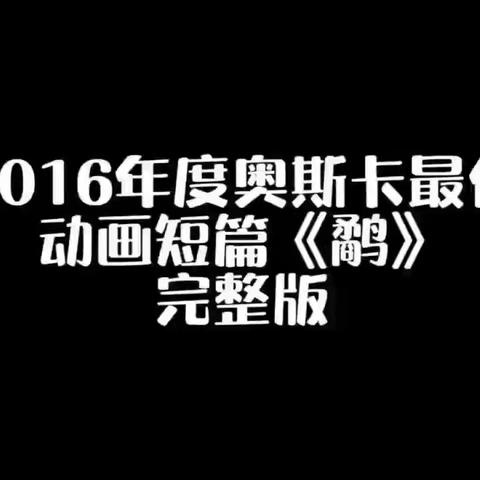 木兰实验小学德育小课——观影《鹬》