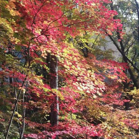 2020国庆中秋双节