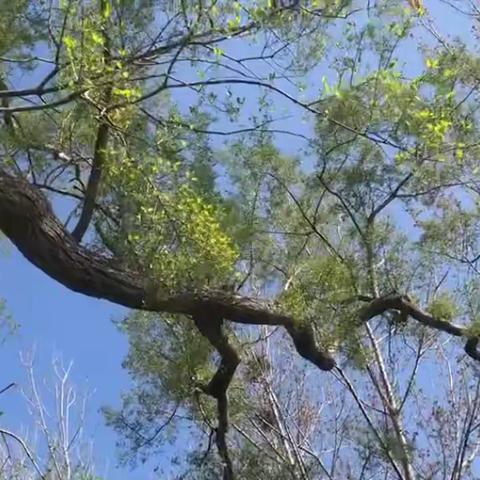 “新农村新生活”——欢跃在曲曲弯弯的田埂上（系列散文三）