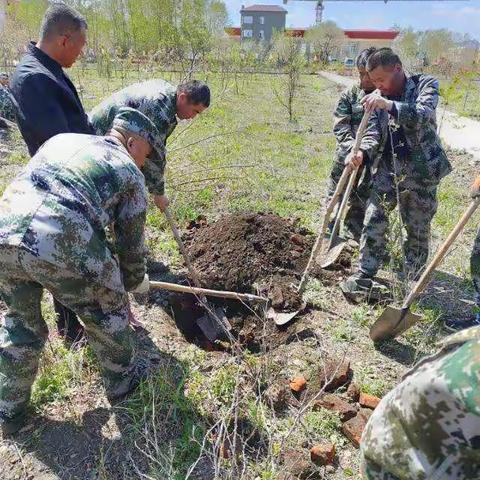 应急事务处放弃午休时间在生态园植树