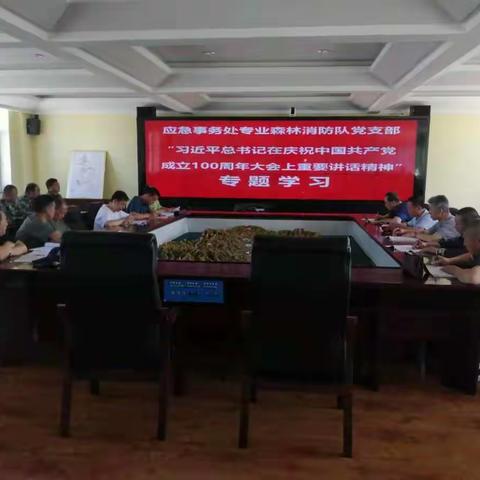 应急事务处专业森林消防队党支部组织党员学习“习近平总书记在庆祝中国共产党成立100周年大会上的讲话”精神