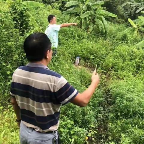 【海沧区河长办】巡查溪渠湖库