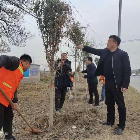 浇灌路树，迎接绿色春天