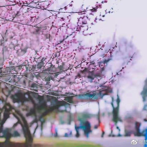 不一样的“开学”，不一样的“收获”——马场民小开学啦