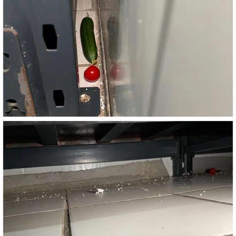 12月18日品控部对北海店的检查问题及整改