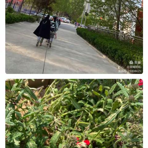 家长进校园  陪伴孩子一起成长