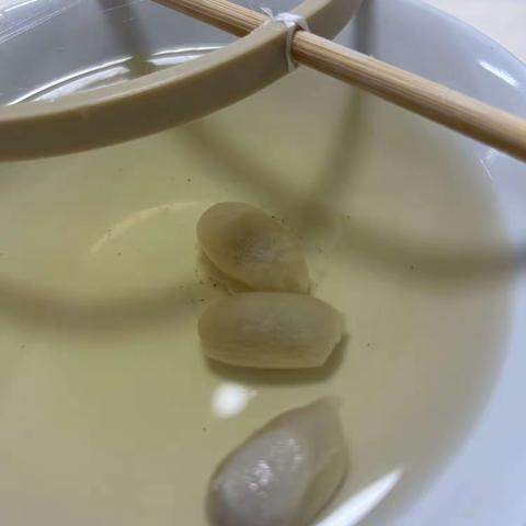 养蚕日记37