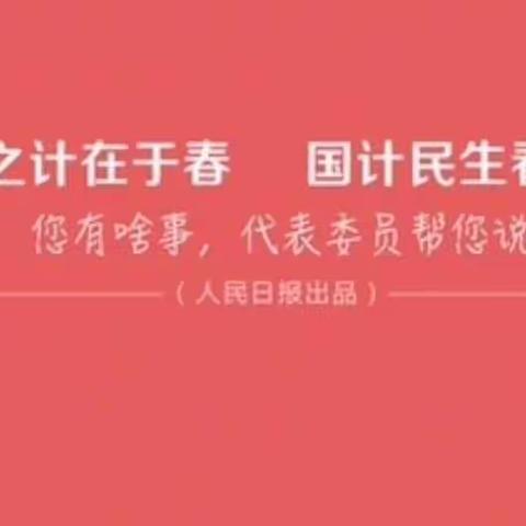 “童眼看两会✰童心赞祖国”文山市薄竹镇老回龙小学主题队会活动